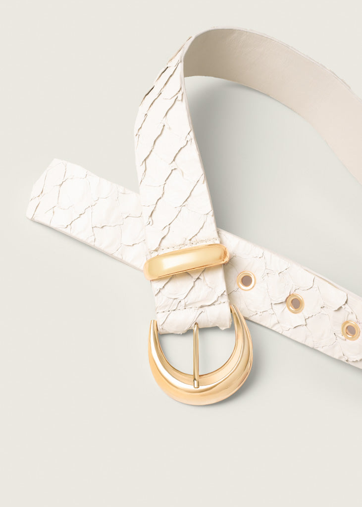 Cinto Celeste - Pirarucu