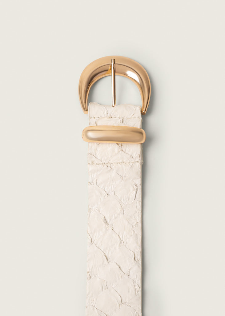 Cinto Celeste - Pirarucu